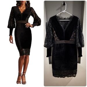 Tadashi Shoji Velvet Long Volume Sleeve V-Neckline Pleated Lace Bodycon Dress.